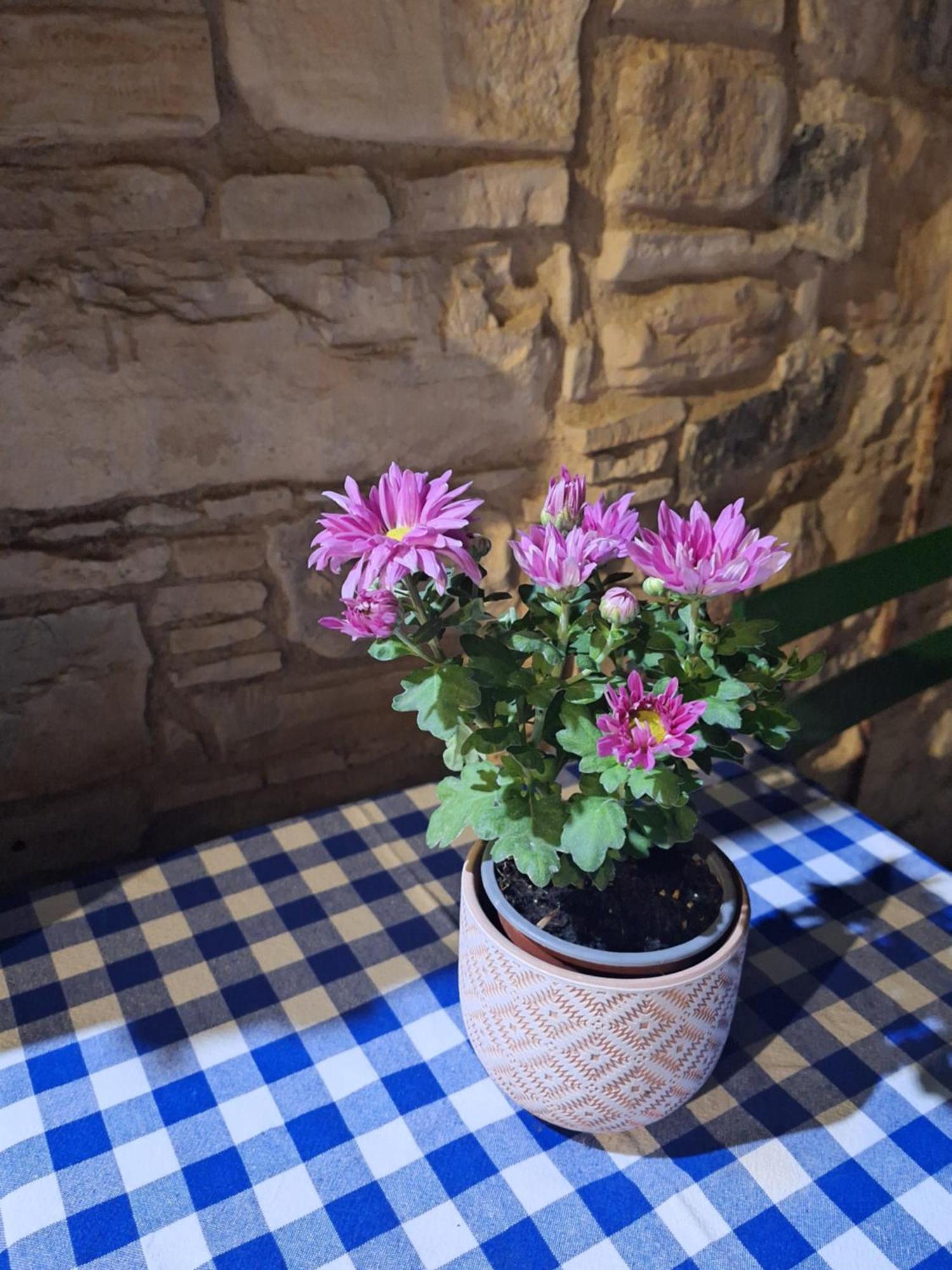 Eleni'S Cottage Апсиу Экстерьер фото
