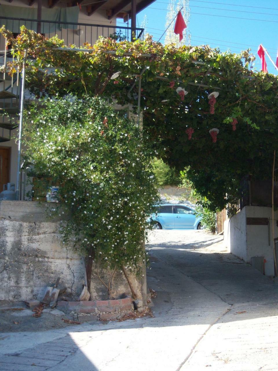 Eleni'S Cottage Апсиу Экстерьер фото